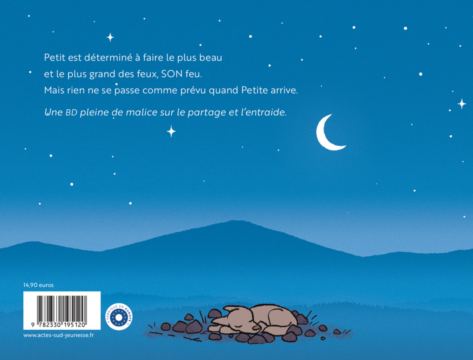 Mon feu - Vincent Roche - ACTES SUD