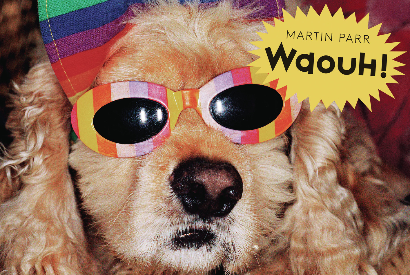 Waouh ! - Martin Parr - GRANDES PERSONN