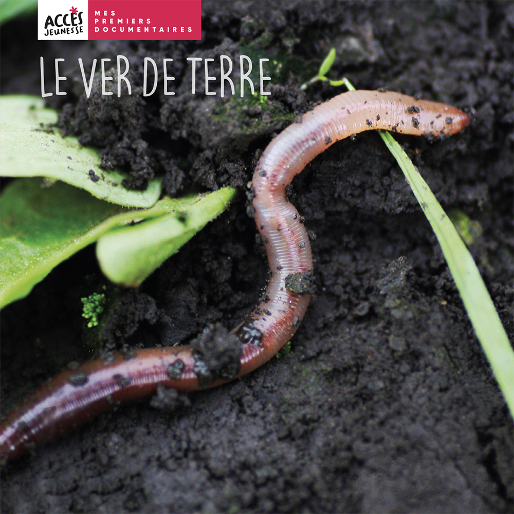 LE VER DE TERRE - Léa Schneider - ACCES