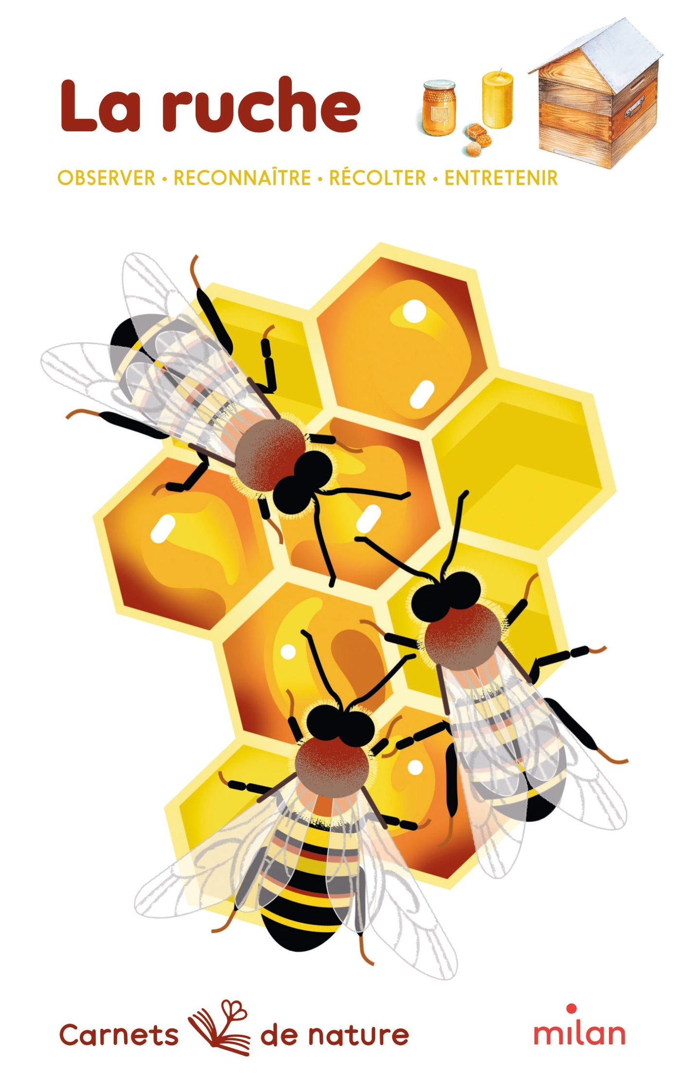 La ruche - Léon Rogez - MILAN