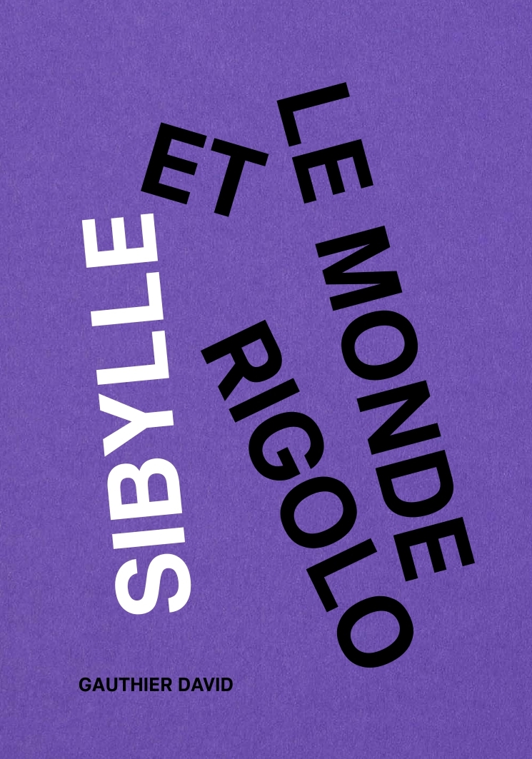 Sibylle et le monde rigolo - Gauthier David, David Gauthier - VROUM