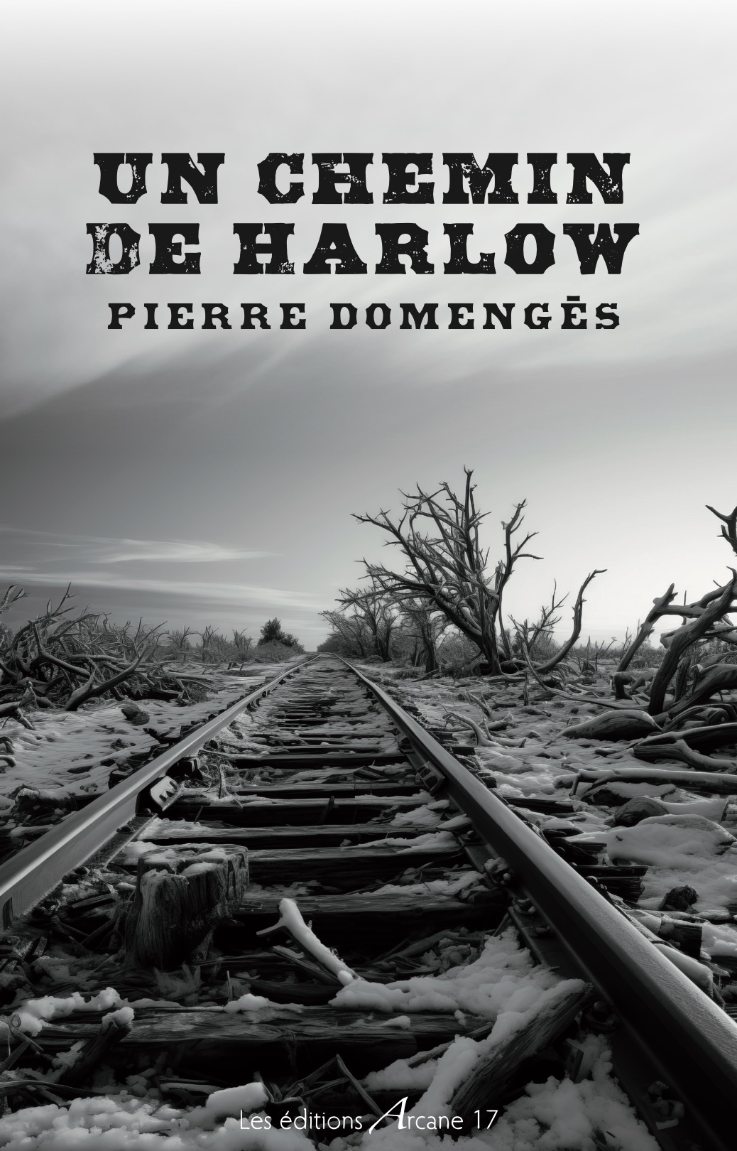 Un chemin de Harlow - Pierre Domengès - ARCANE 17
