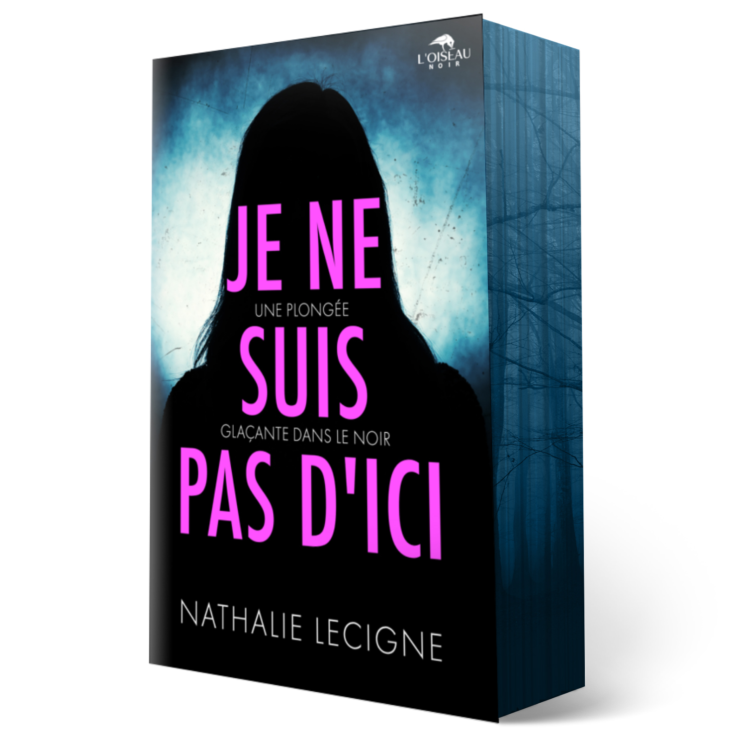 JE NE SUIS PAS D'ICI -  LECIGNE NATHALIE - OISEAU NOIR