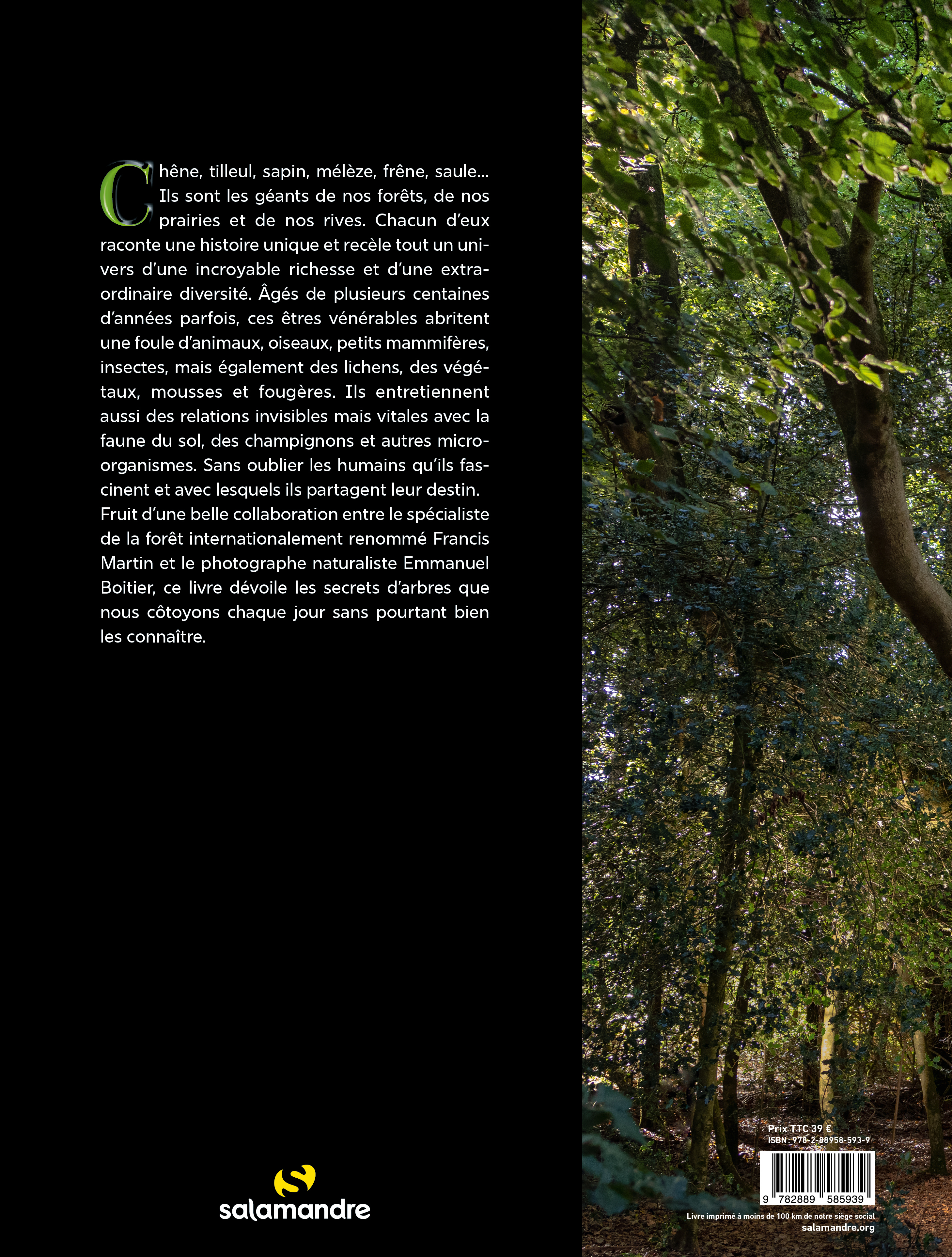 Arbres, secrets de géants - Francis Martin - LA SALAMANDRE