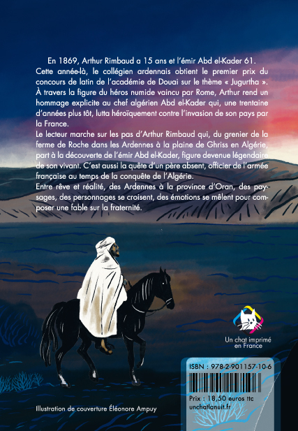 La plume de Taïr - Ahmed Bouyerdene, Frédéric Magnan - UN CHAT LA NUIT