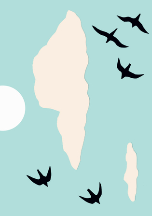 7 comptines d'oiselles et d'oiseaux - Sarah Cheveau - THIERRY MAGNIER