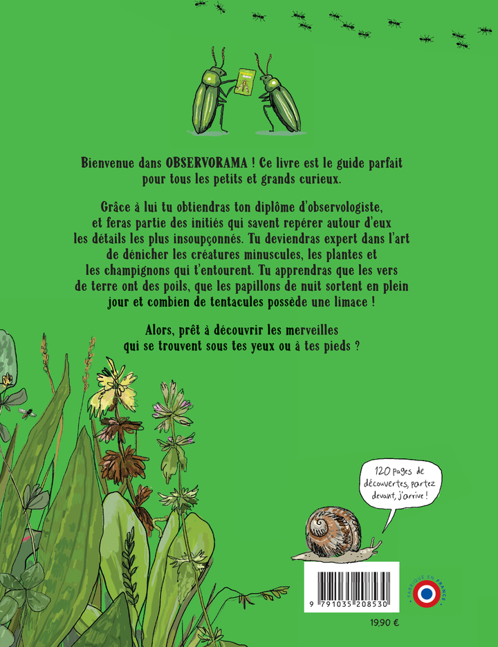 Observorama - Giselle Clarkson - THIERRY MAGNIER