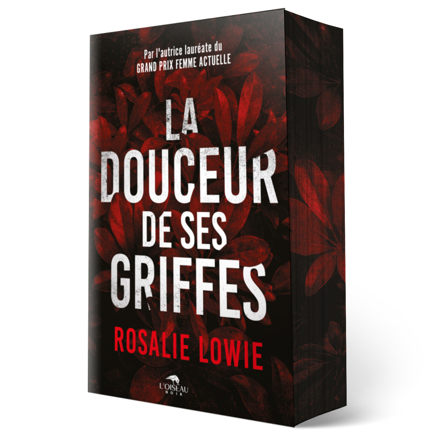 LA DOUCEUR DE SES GRIFFES -  LOWIE ROSALIE - OISEAU NOIR