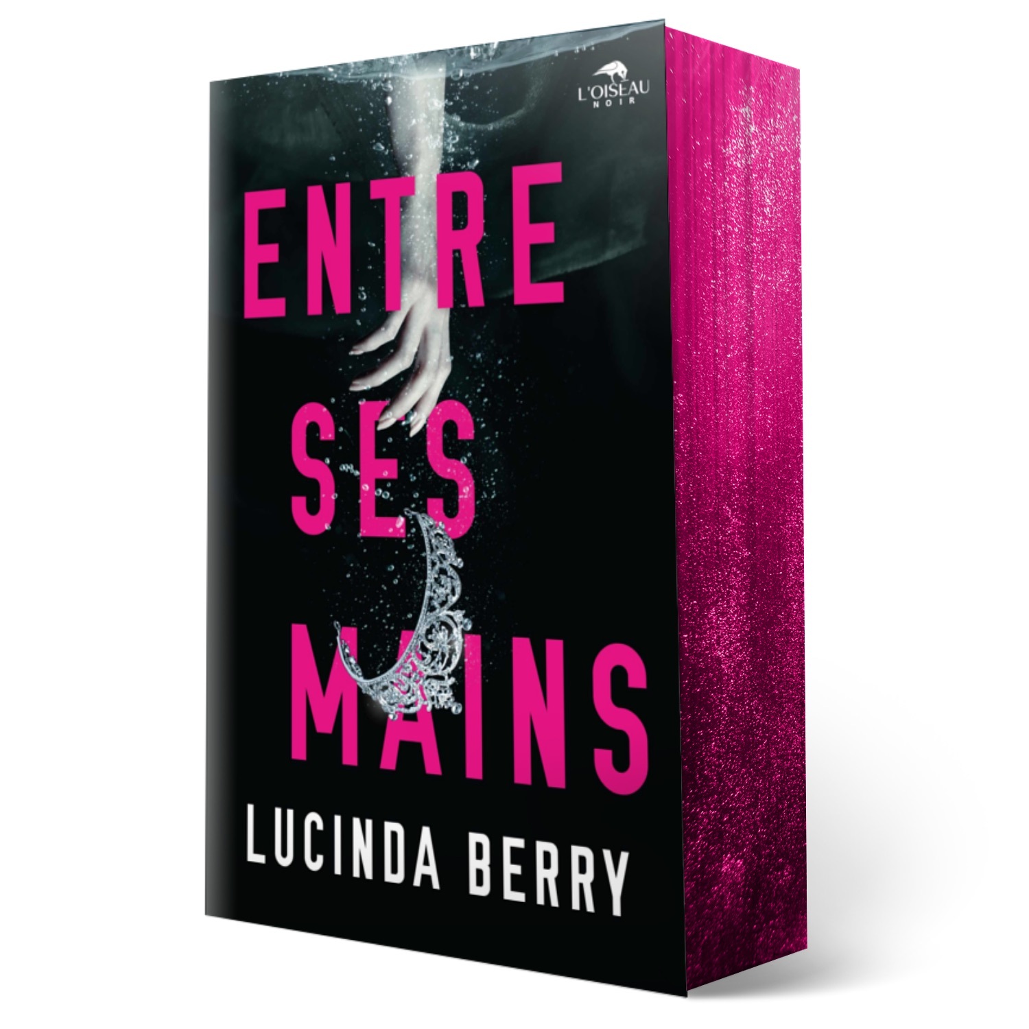 ENTRE SES MAINS -  BERRY LUCINDA - OISEAU NOIR