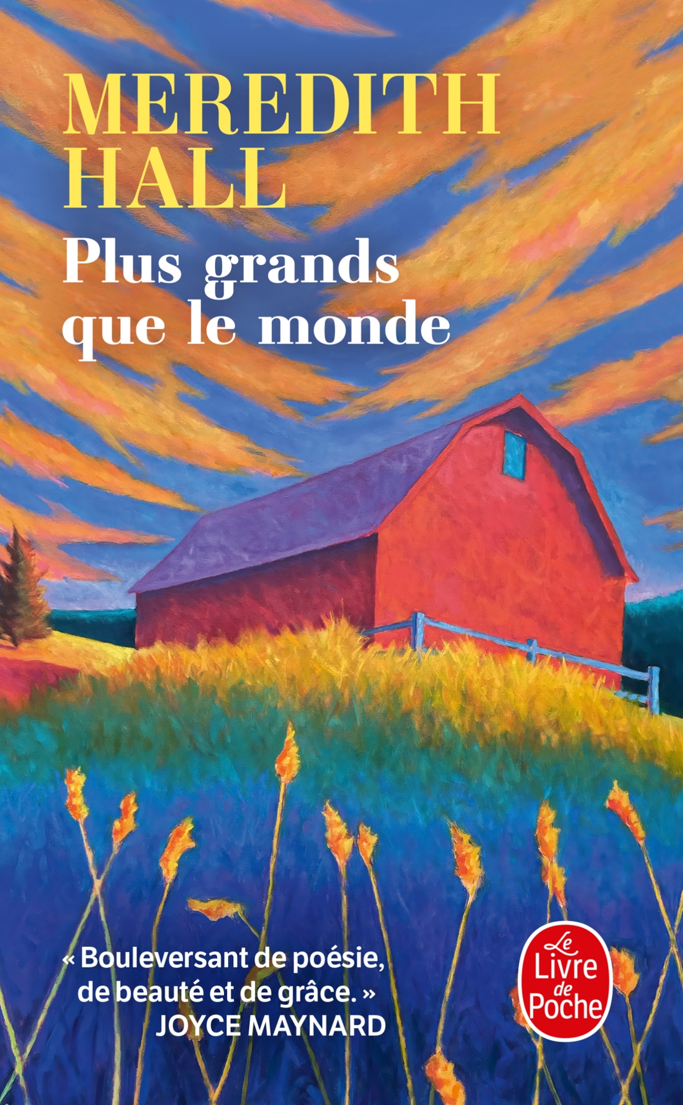 Plus grands que le monde - Meredith Hall - LGF