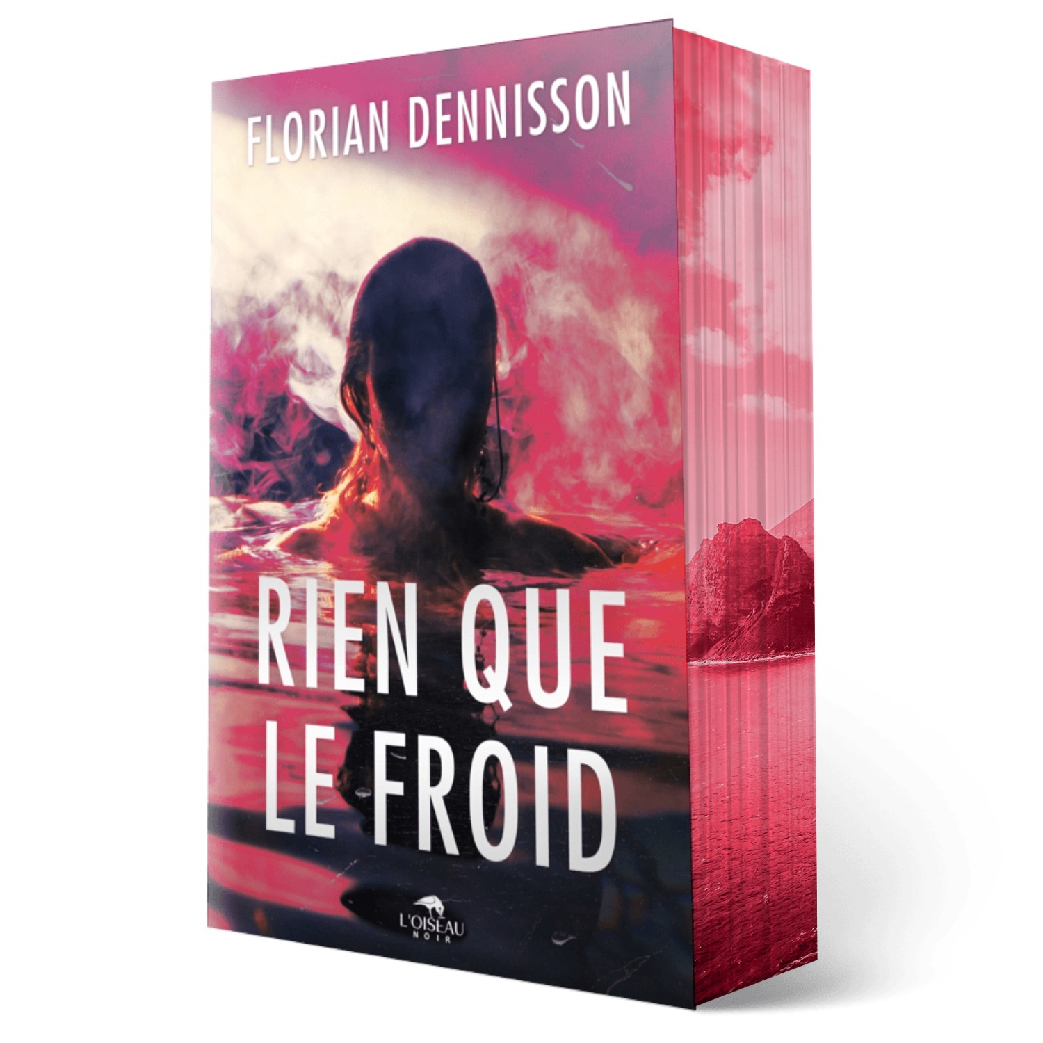 RIEN QUE LE FROID -  DENNISSON FLORIAN - OISEAU NOIR