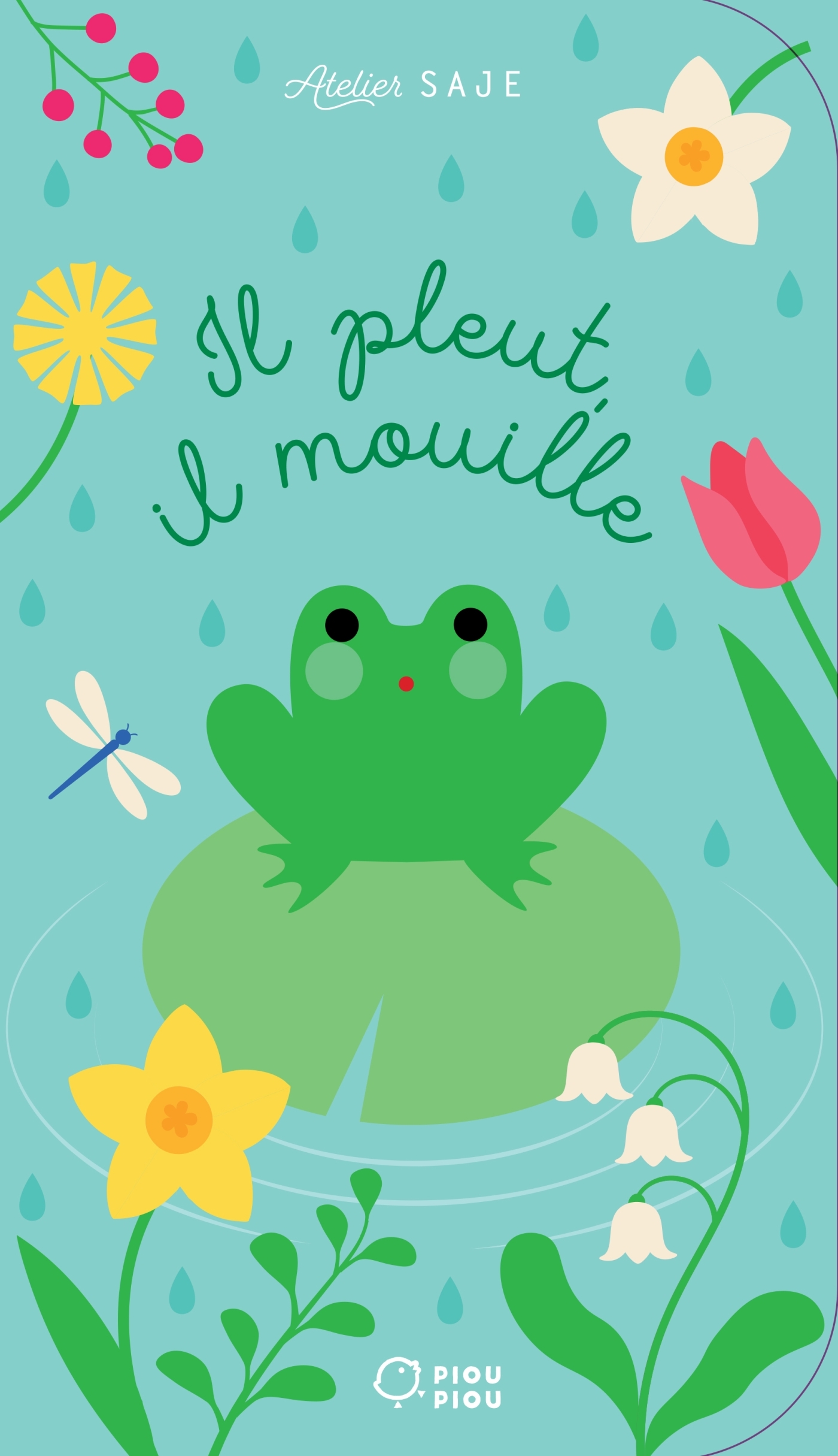 Il pleut, il mouille -  - DIDIER JEUNESSE