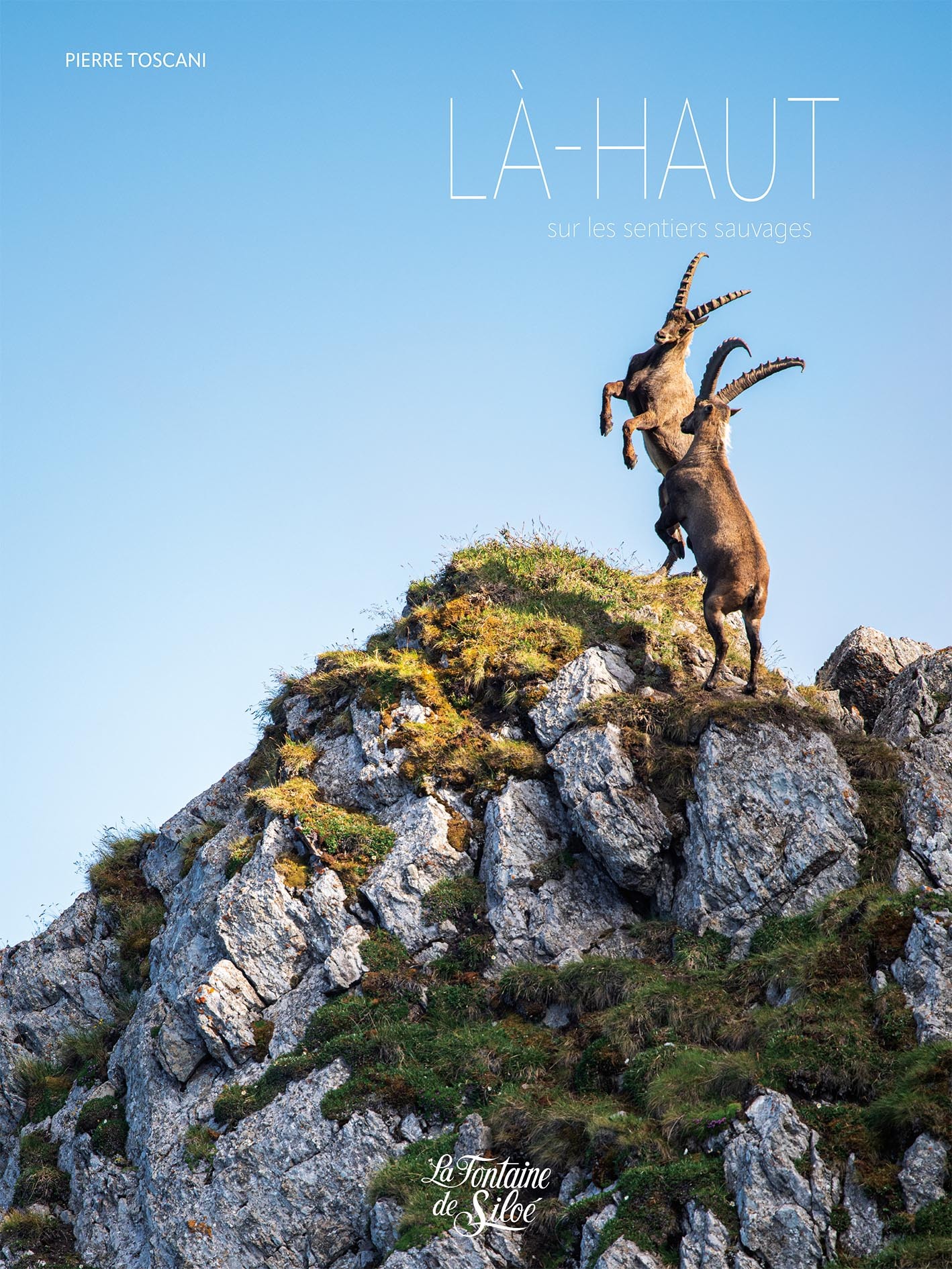 Là-Haut, sur les sentiers sauvages - Pierre TOSCANI - FONTAINE SILOE