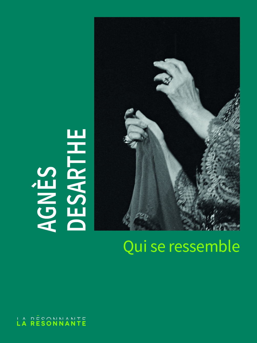 Qui se ressemble -  Desarthe Agnès - BUCHET CHASTEL