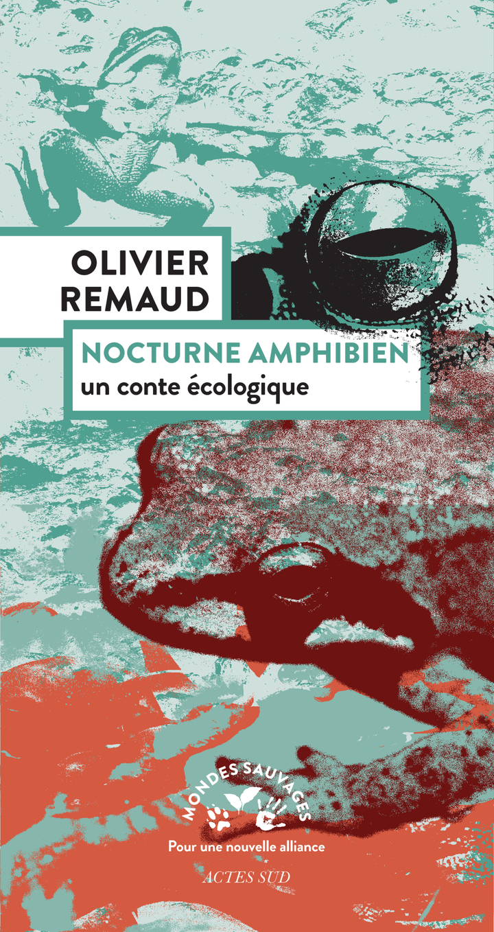 Nocturne amphibien - Olivier Remaud - ACTES SUD