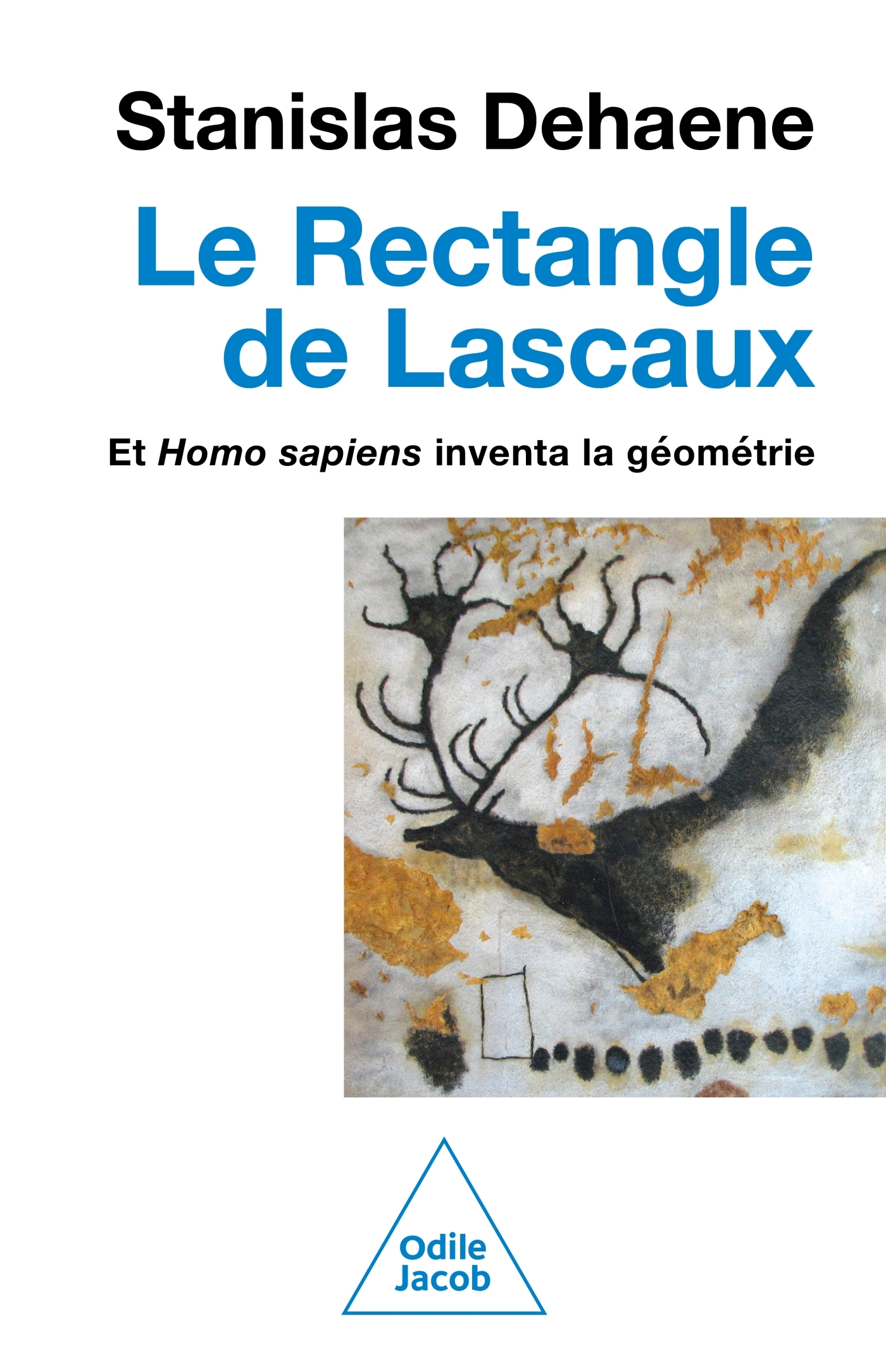 Le Rectangle de Lascaux -  Stanislas DEHAENE - JACOB