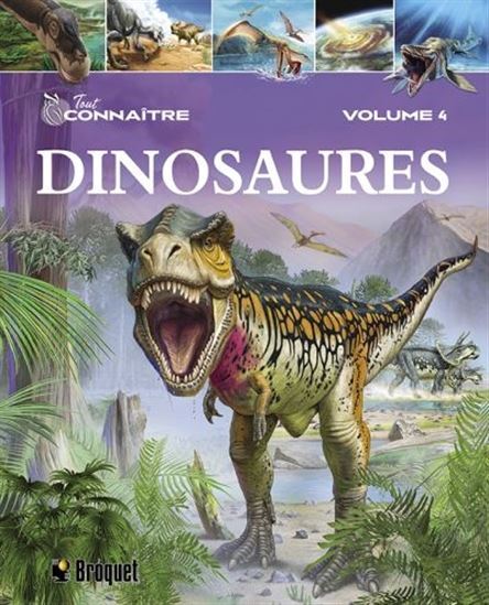 Dinosaures - Clare Hibbert - BROQUET