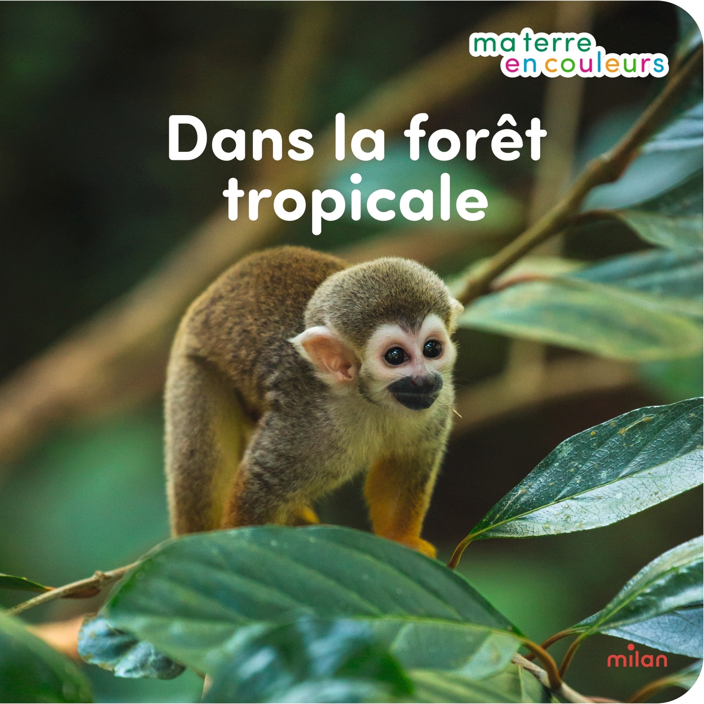 Dans la forêt tropicale - Stéphanie Redoulès - MILAN