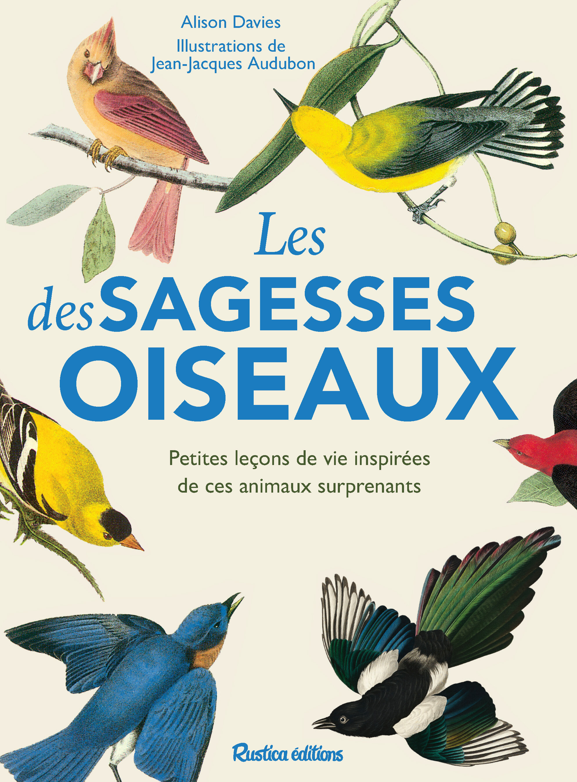 Les sagesses des oiseaux - Alison Davis - RUSTICA