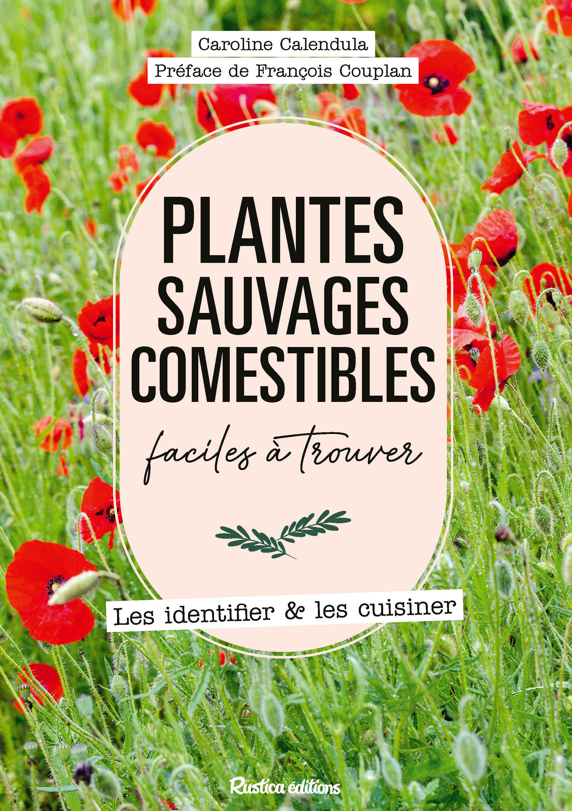 Plantes sauvages comestibles faciles à trouver - Caroline Calendula, Claire CURT, François Couplan - RUSTICA
