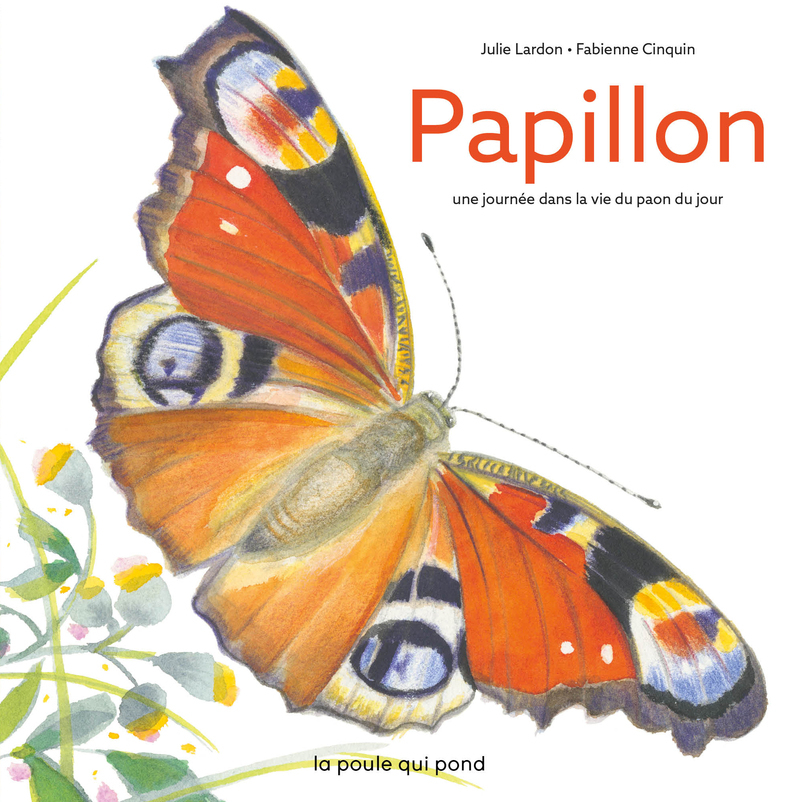 Papillon : une journee dans la vie d'un paon du jour - Julie Lardon - POULE QUI POND
