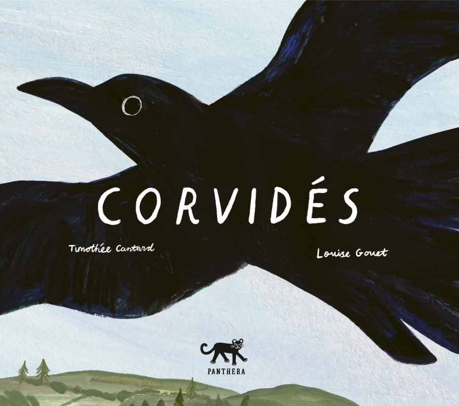 Corvidés - Timothée CANTARD - PANTHERA