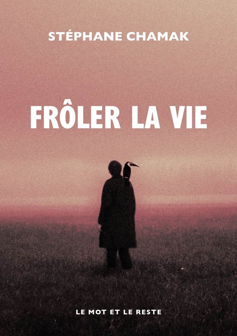 Frôler la vie - Stéphane CHAMAK - MOT ET LE RESTE
