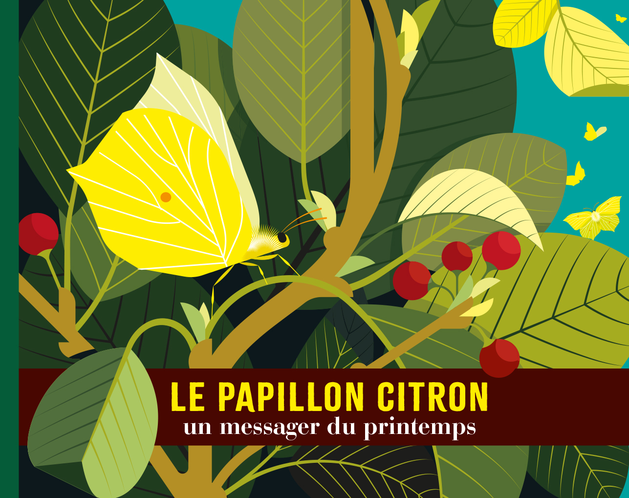 Le papillon citron - JACOUD CECILE - AMATERRA