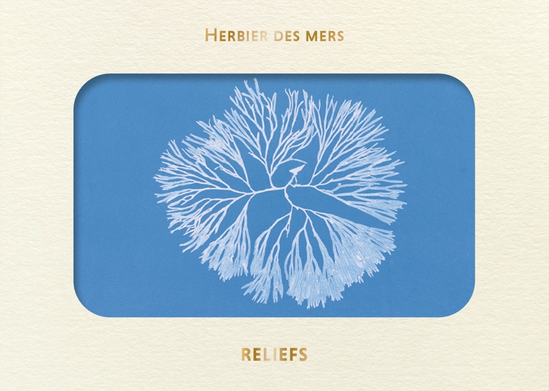Livre d’images - Herbier des mers - Anna ATKINS - RELIEFS