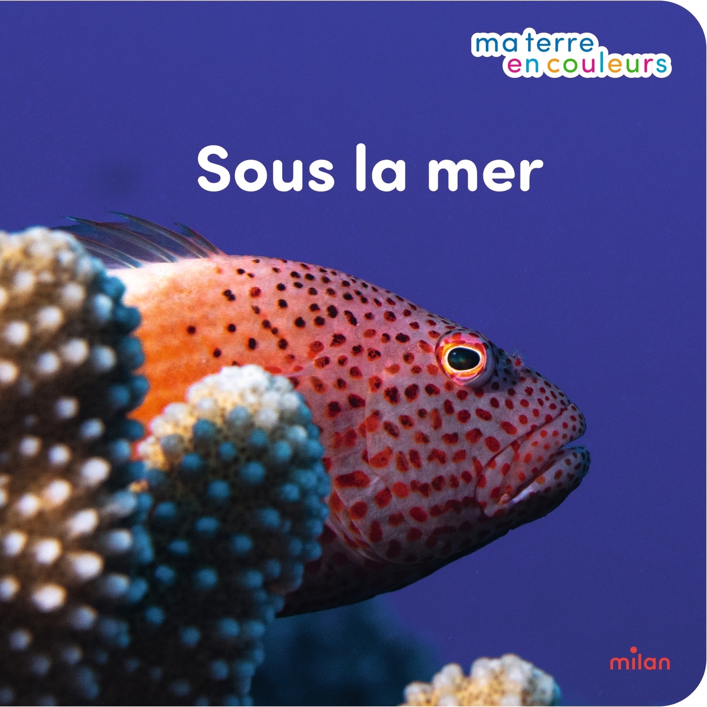 Sous la mer - Stéphanie Redoulès, Franck Gazzola - MILAN